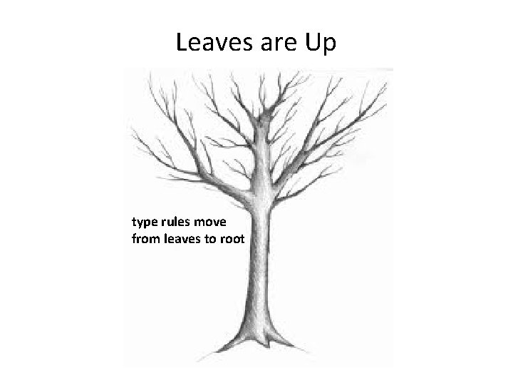 Leaves are Up type rules move from leaves to root 