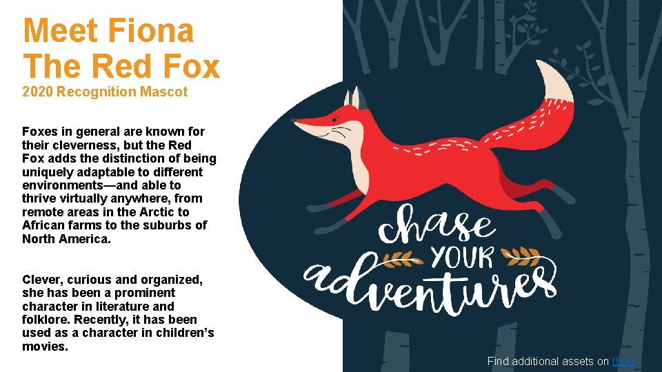 Meet Fiona The Red Fox 2020 Recognition Mascot Foxes in general are known for