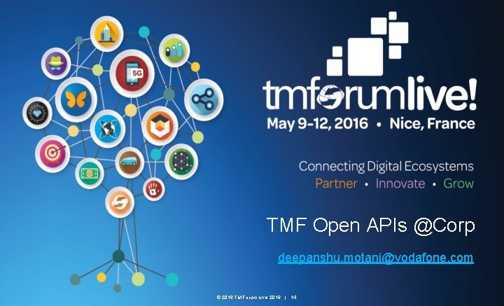 TMF Open APIs @Corp deepanshu. motani@vodafone. com © 2016 TM Forum Live! 2016 |