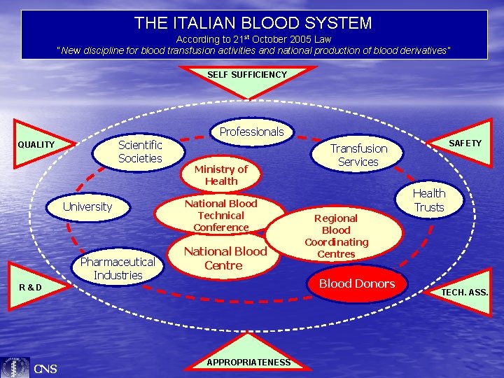 THE ITALIAN BLOOD SYSTEM According to 21 st October 2005 Law “New discipline for