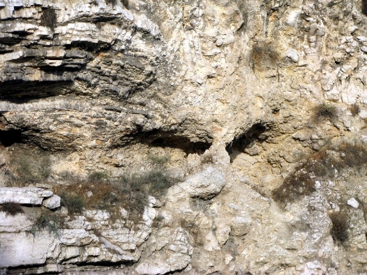 5. Who in your life has been an example of perseverance through hardship? For