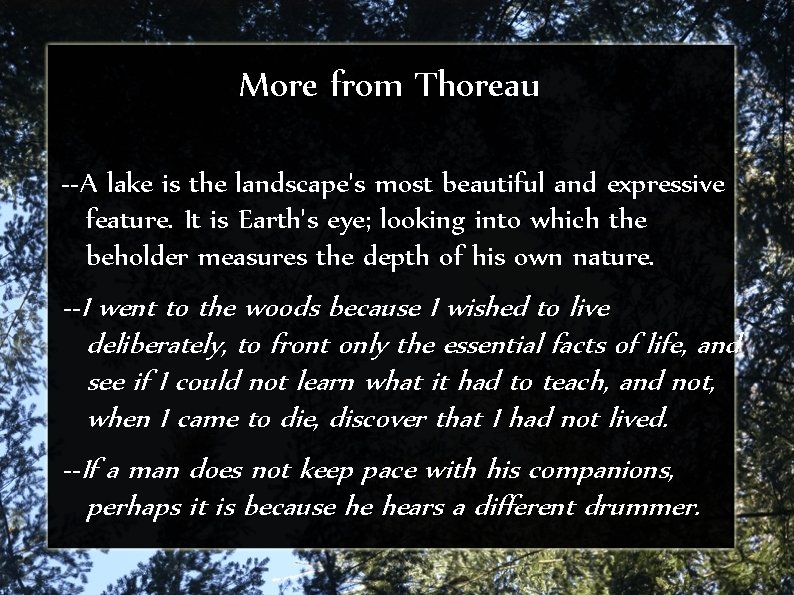 More from Thoreau --A lake is the landscape's most beautiful and expressive feature. It