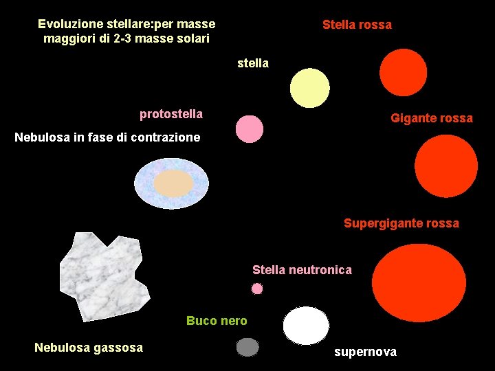 Evoluzione stellare: per masse maggiori di 2 -3 masse solari Stella rossa stella protostella