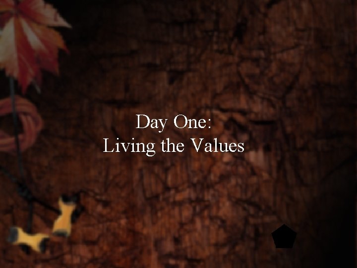 Day One: Living the Values 