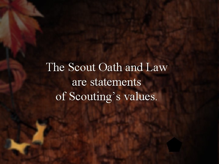 The Scout Oath and Law are statements of Scouting’s values. 