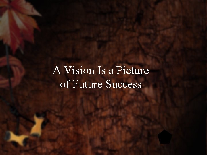 A Vision Is a Picture of Future Success 
