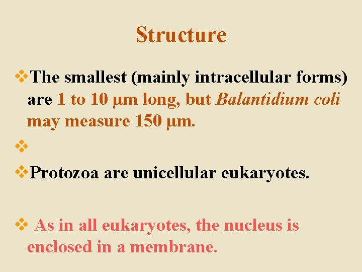Structure v. The smallest (mainly intracellular forms) are 1 to 10 µm long, but