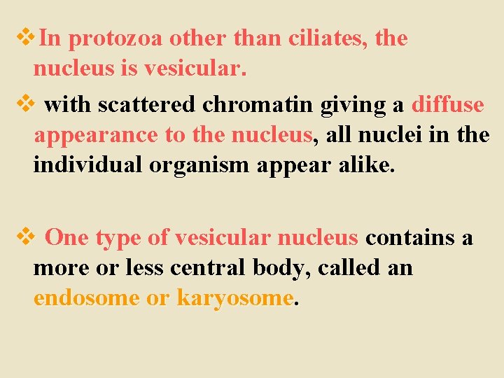 v. In protozoa other than ciliates, the nucleus is vesicular. v with scattered chromatin