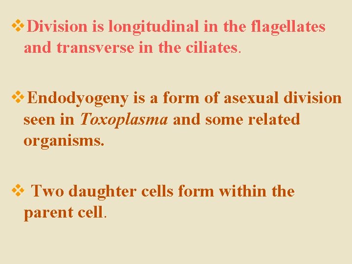 v. Division is longitudinal in the flagellates and transverse in the ciliates. v. Endodyogeny
