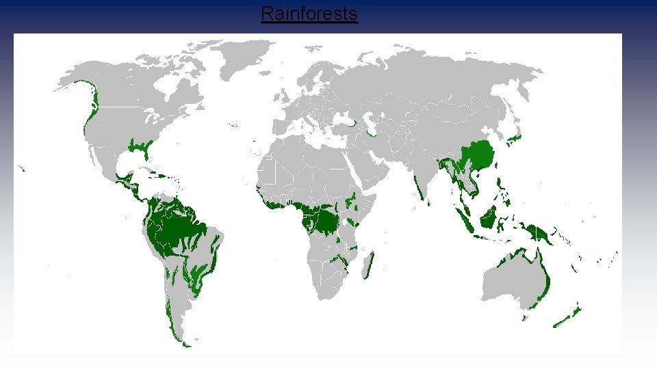 Rainforests 