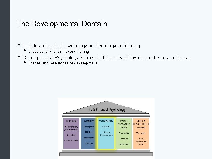 The Developmental Domain • Includes behavioral psychology and learning/conditioning • Classical and operant conditioning