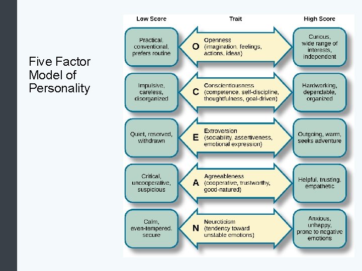 Five Factor Model of Personality 