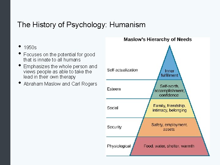 The History of Psychology: Humanism • 1950 s • Focuses on the potential for