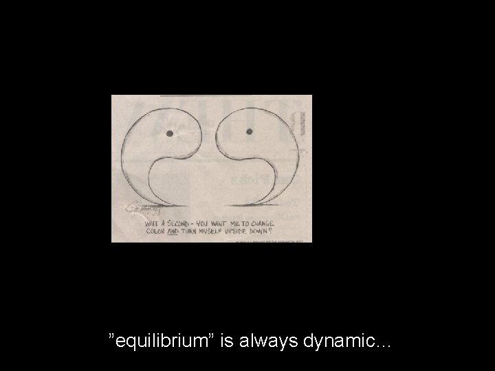 ”equilibrium” is always dynamic… 
