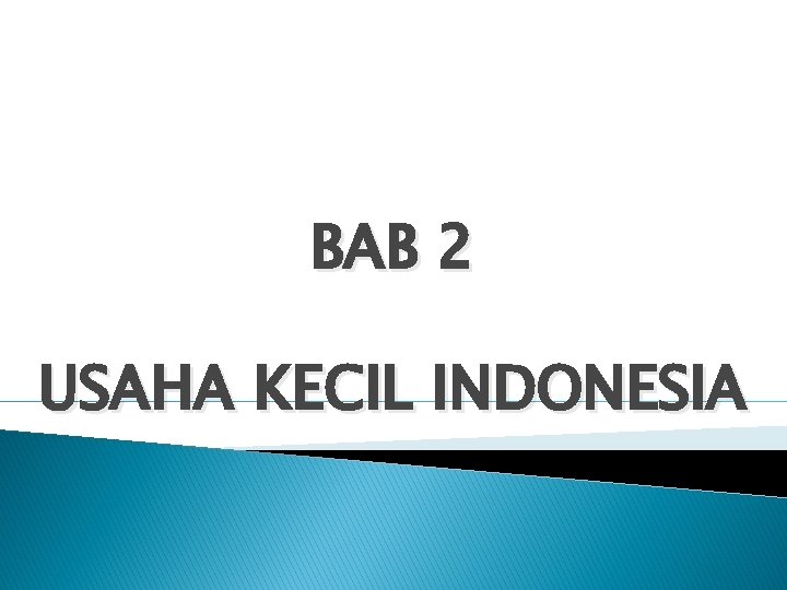 BAB 2 USAHA KECIL INDONESIA 