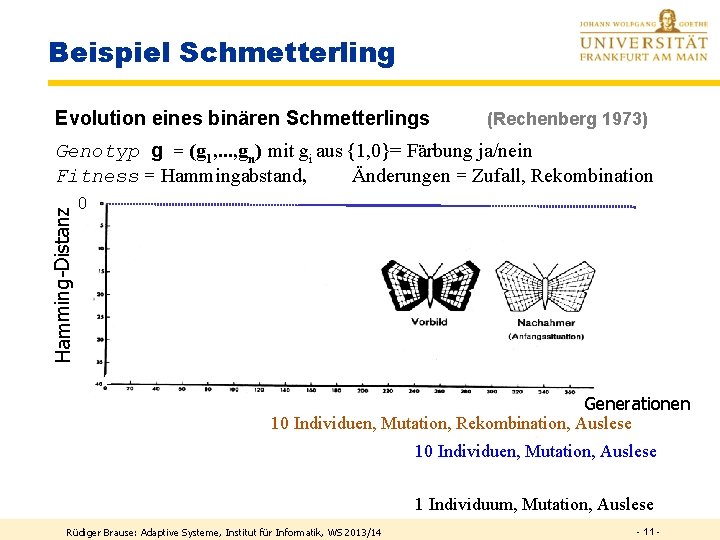 Beispiel Schmetterling Evolution eines binären Schmetterlings (Rechenberg 1973) Hamming-Distanz Genotyp g = (g 1,