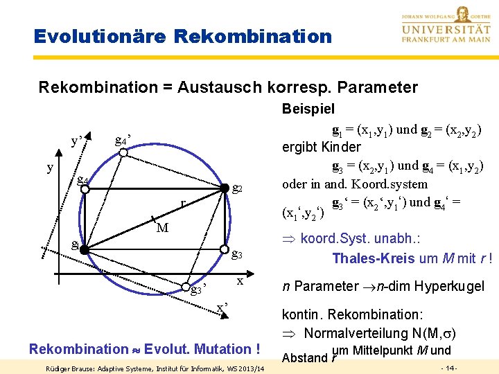 Evolutionäre Rekombination = Austausch korresp. Parameter y’ y g 4’ g 4 g 2