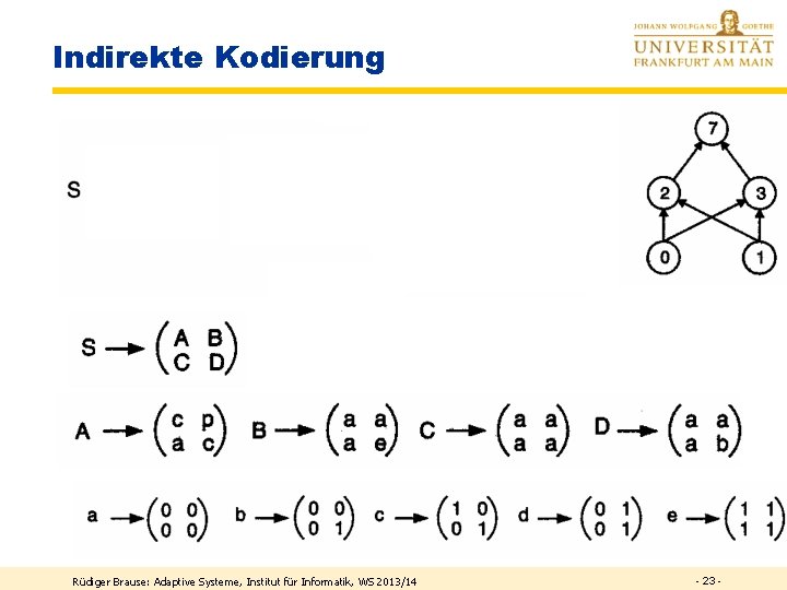 Indirekte Kodierung Rüdiger Brause: Adaptive Systeme, Institut für Informatik, WS 2013/14 - 23 -