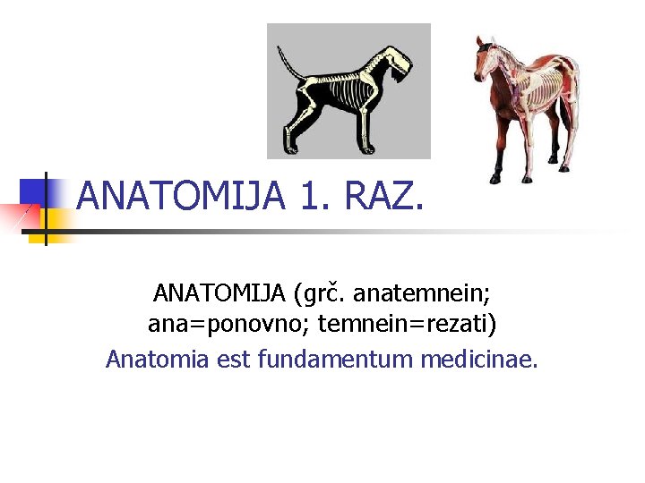 ANATOMIJA 1. RAZ. ANATOMIJA (grč. anatemnein; ana=ponovno; temnein=rezati) Anatomia est fundamentum medicinae. 