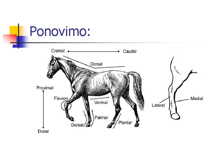 Ponovimo: 