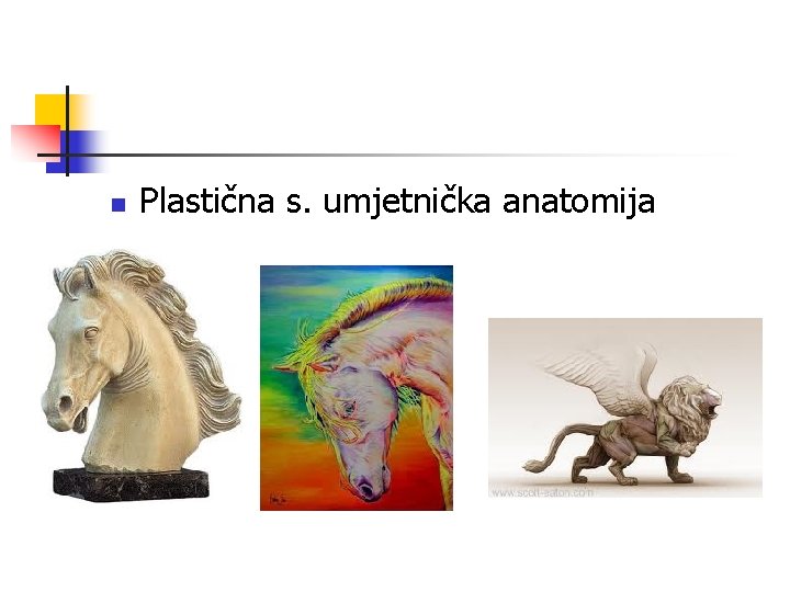 n Plastična s. umjetnička anatomija 