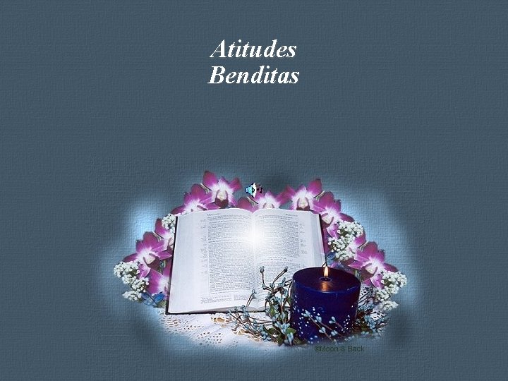 Atitudes Benditas Feito por Luana Rodrigues – luannarj@uol. com. br 