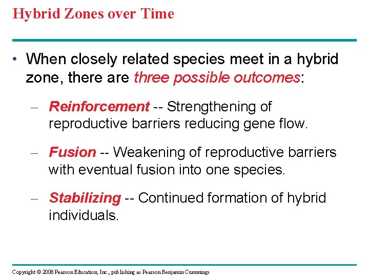 Hybrid Zones over Time • When closely related species meet in a hybrid zone,