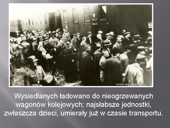 Wysiedlanych ładowano do nieogrzewanych wagonów kolejowych; najsłabsze jednostki, zwłaszcza dzieci, umierały już w czasie