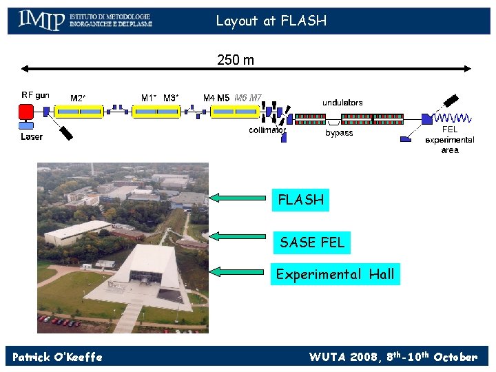 Layout at FLASH 250 m RF-gun Final energy Cs 2 Te - photocathode Nd: