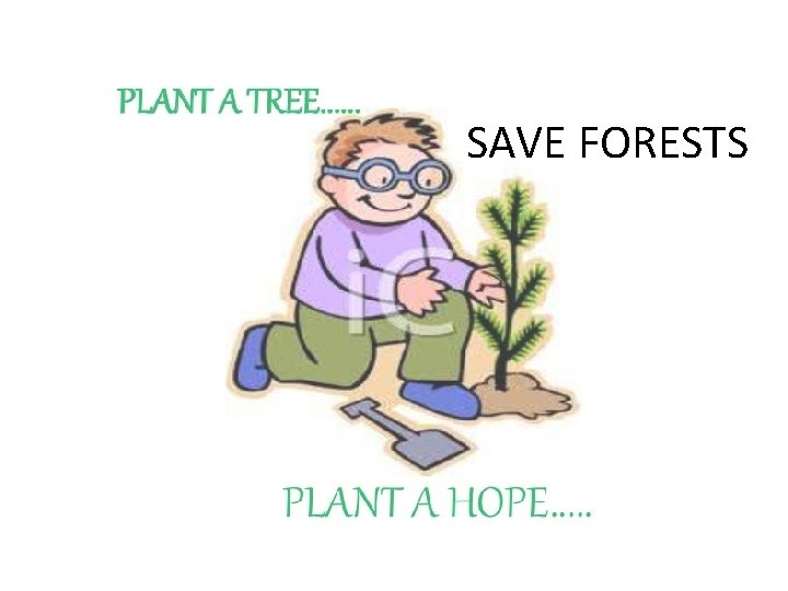 SAVE FORESTS 