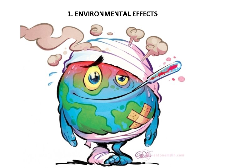 1. ENVIRONMENTAL EFFECTS 
