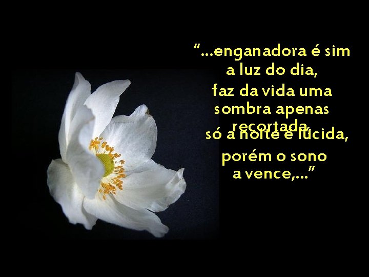 “. . . enganadora é sim a luz do dia, faz da vida uma