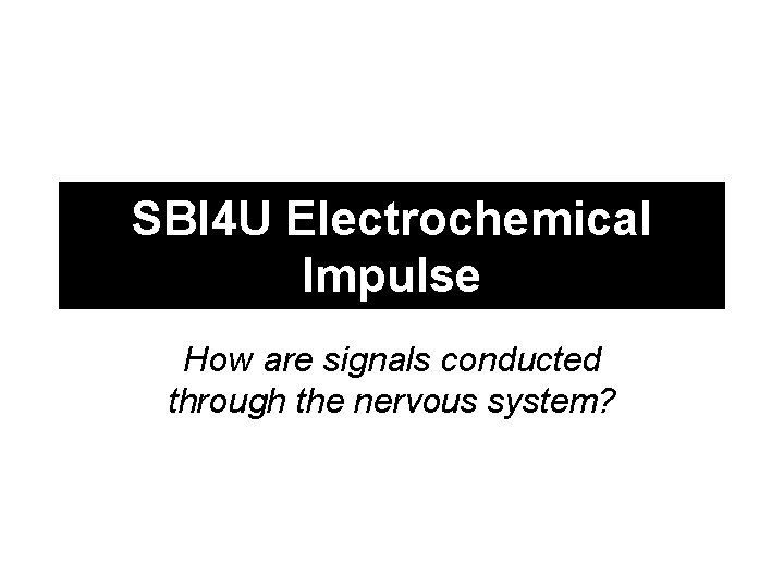SBI 4 U Electrochemical Impulse How are signals conducted through the nervous system? 