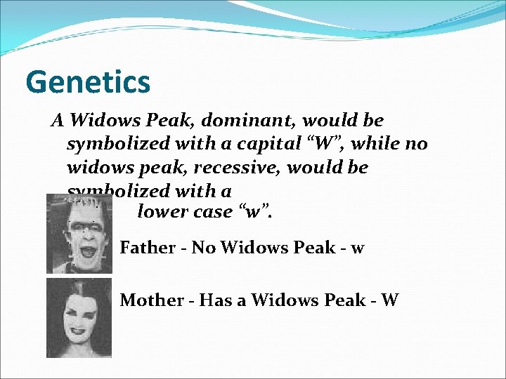 Genetics A Widows Peak, dominant, would be symbolized with a capital “W”, while no