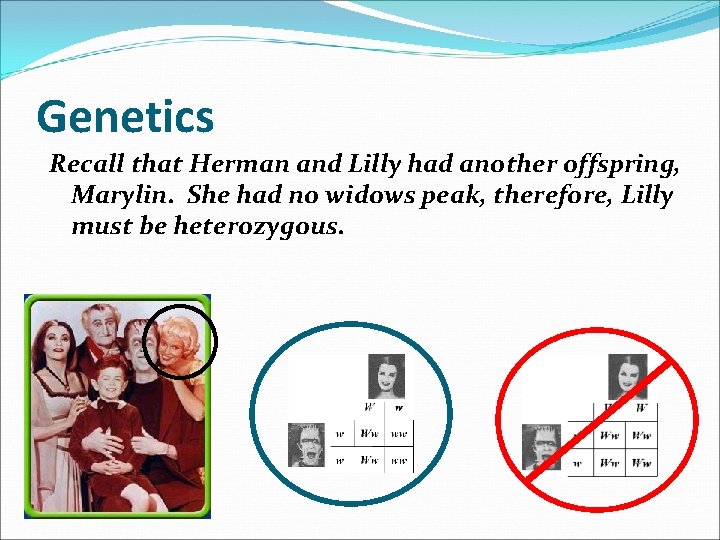 Genetics Recall that Herman and Lilly had another offspring, Marylin. She had no widows