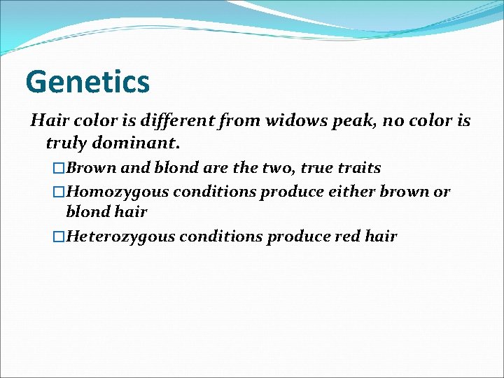 Genetics Hair color is different from widows peak, no color is truly dominant. �Brown