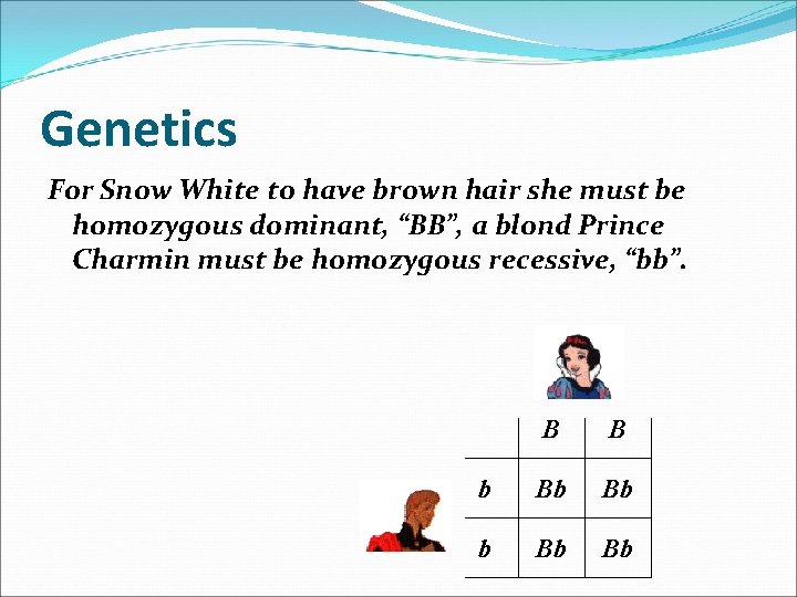 Genetics For Snow White to have brown hair she must be homozygous dominant, “BB”,