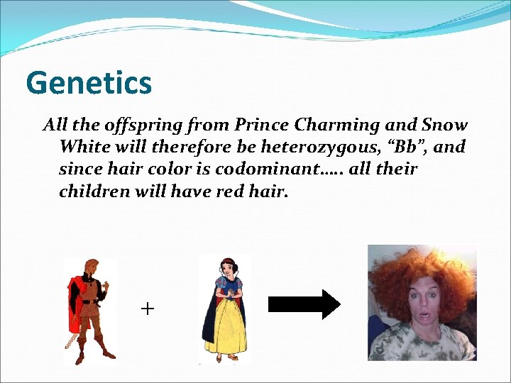 Genetics All the offspring from Prince Charming and Snow White will therefore be heterozygous,