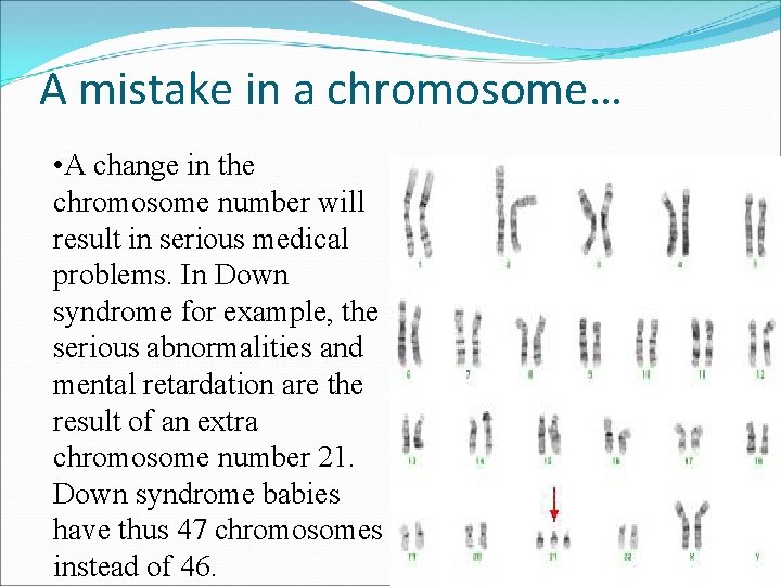 A mistake in a chromosome… • A change in the chromosome number will result