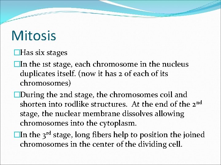 Mitosis �Has six stages �In the 1 st stage, each chromosome in the nucleus