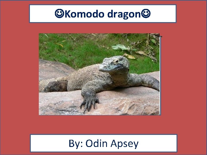  Komodo dragon By: Odin Apsey 