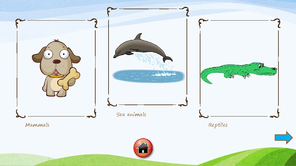 Sea animals Mammals Reptiles 