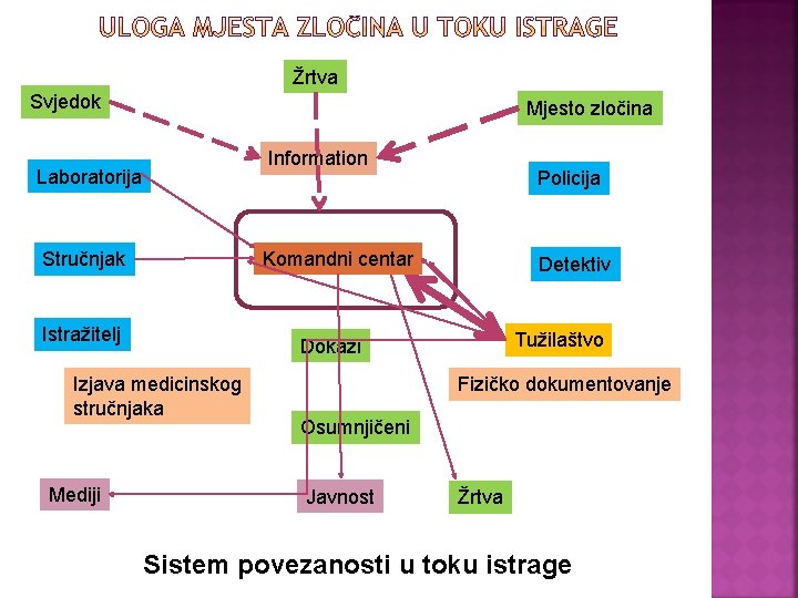 Žrtva Svjedok Mjesto zločina Information Laboratorija Stručnjak Komandni centar Istražitelj Detektiv Tužilaštvo Dokazi Izjava