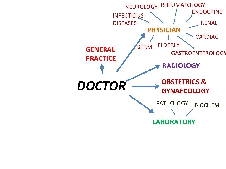 NEUROLOGY RHEUMATOLOGY ENDOCRINE INFECTIOUS RENAL DISEASES PHYSICIAN GENERAL PRACTICE DOCTOR CARDIAC DERM. ELDERLY GASTROENTEROLOGY