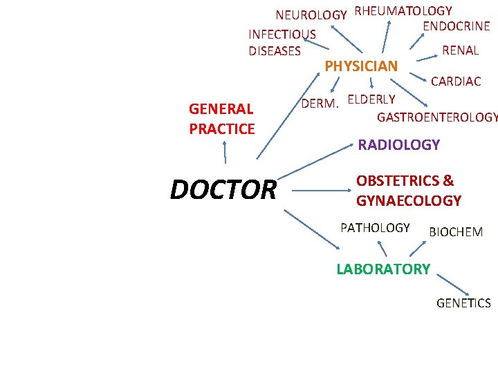 NEUROLOGY RHEUMATOLOGY ENDOCRINE INFECTIOUS RENAL DISEASES PHYSICIAN GENERAL PRACTICE DOCTOR CARDIAC DERM. ELDERLY GASTROENTEROLOGY