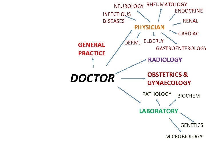 NEUROLOGY RHEUMATOLOGY ENDOCRINE INFECTIOUS RENAL DISEASES PHYSICIAN GENERAL PRACTICE DOCTOR CARDIAC DERM. ELDERLY GASTROENTEROLOGY