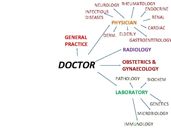 NEUROLOGY RHEUMATOLOGY ENDOCRINE INFECTIOUS RENAL DISEASES PHYSICIAN GENERAL PRACTICE DOCTOR CARDIAC DERM. ELDERLY GASTROENTEROLOGY