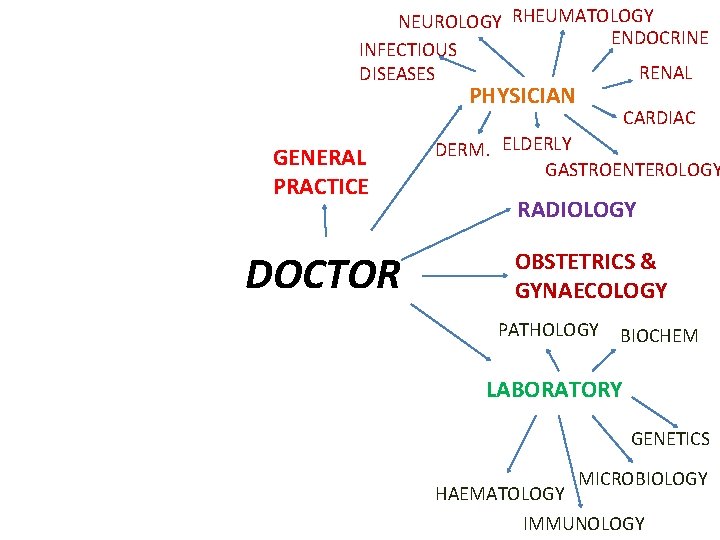 NEUROLOGY RHEUMATOLOGY ENDOCRINE INFECTIOUS RENAL DISEASES PHYSICIAN GENERAL PRACTICE DOCTOR CARDIAC DERM. ELDERLY GASTROENTEROLOGY