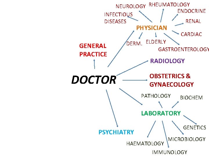 NEUROLOGY RHEUMATOLOGY ENDOCRINE INFECTIOUS RENAL DISEASES PHYSICIAN GENERAL PRACTICE CARDIAC DERM. ELDERLY GASTROENTEROLOGY RADIOLOGY