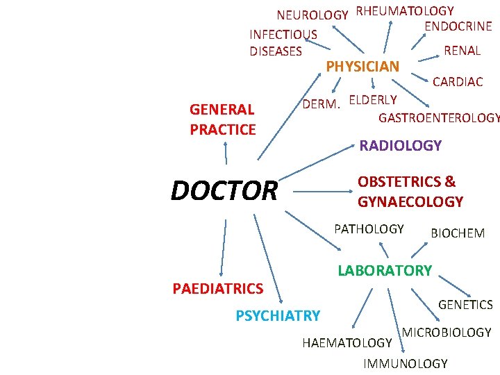 NEUROLOGY RHEUMATOLOGY ENDOCRINE INFECTIOUS RENAL DISEASES PHYSICIAN GENERAL PRACTICE CARDIAC DERM. ELDERLY GASTROENTEROLOGY RADIOLOGY NEUROLOGY RHEUMATOLOGY ENDOCRINE INFECTIOUS RENAL DISEASES PHYSICIAN GENERAL PRACTICE CARDIAC DERM. ELDERLY GASTROENTEROLOGY RADIOLOGY